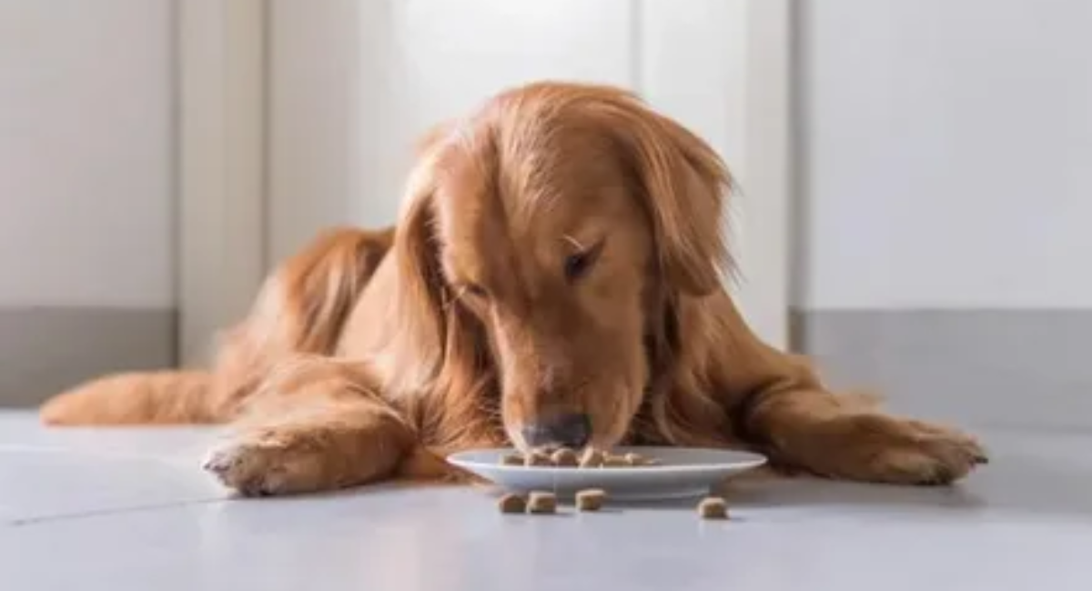 Food Allergies