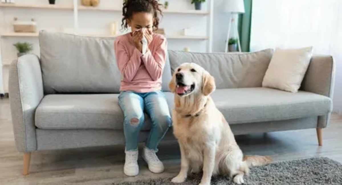 golden retriever allergies